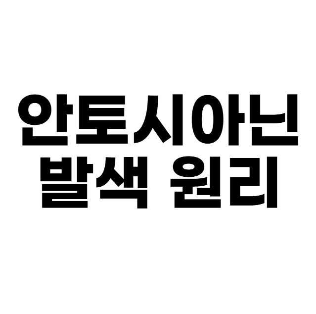안토시아닌 발색 원리