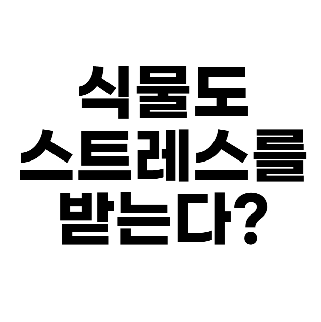 식물도 스트레스를 받는다?