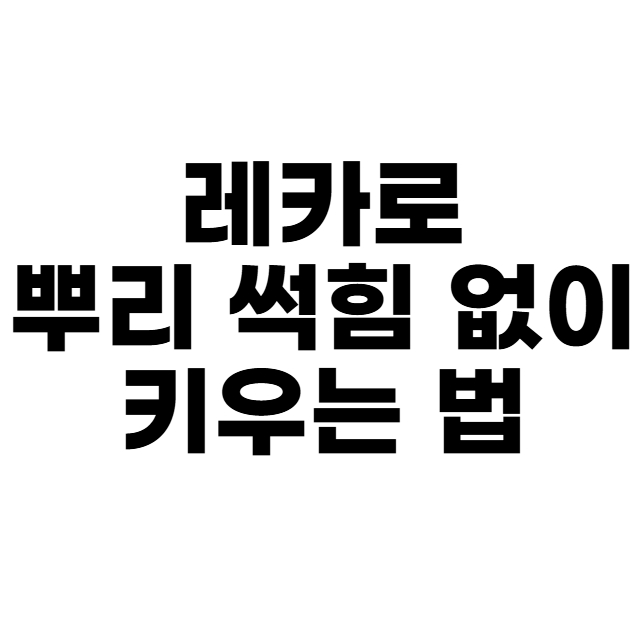 레카로 뿌리 썩힘 없이 키우는 법