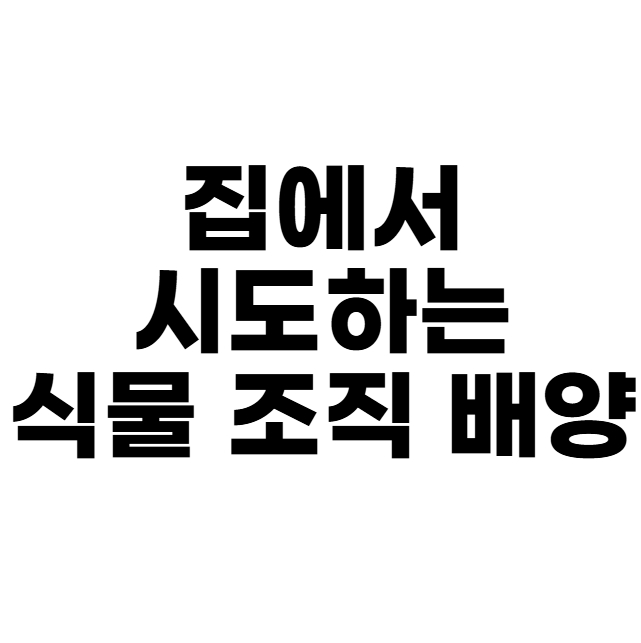 식물 조직 배양