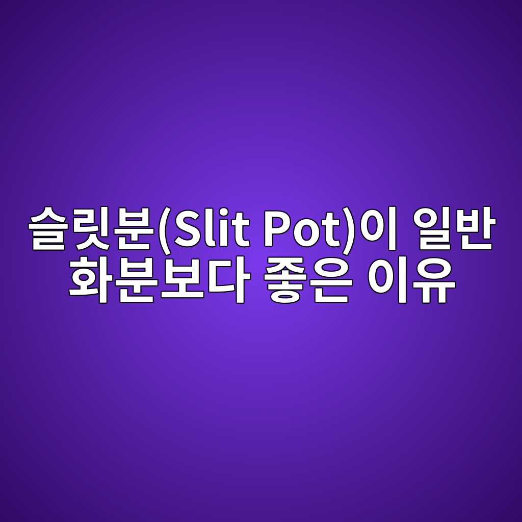 ec8aaceba6bfebb684slit potec9db4 ec9dbcebb098 ed9994ebb684ebb3b4eb8ba4 eca28bec9d80 ec9db4ec9ca0 1780388407