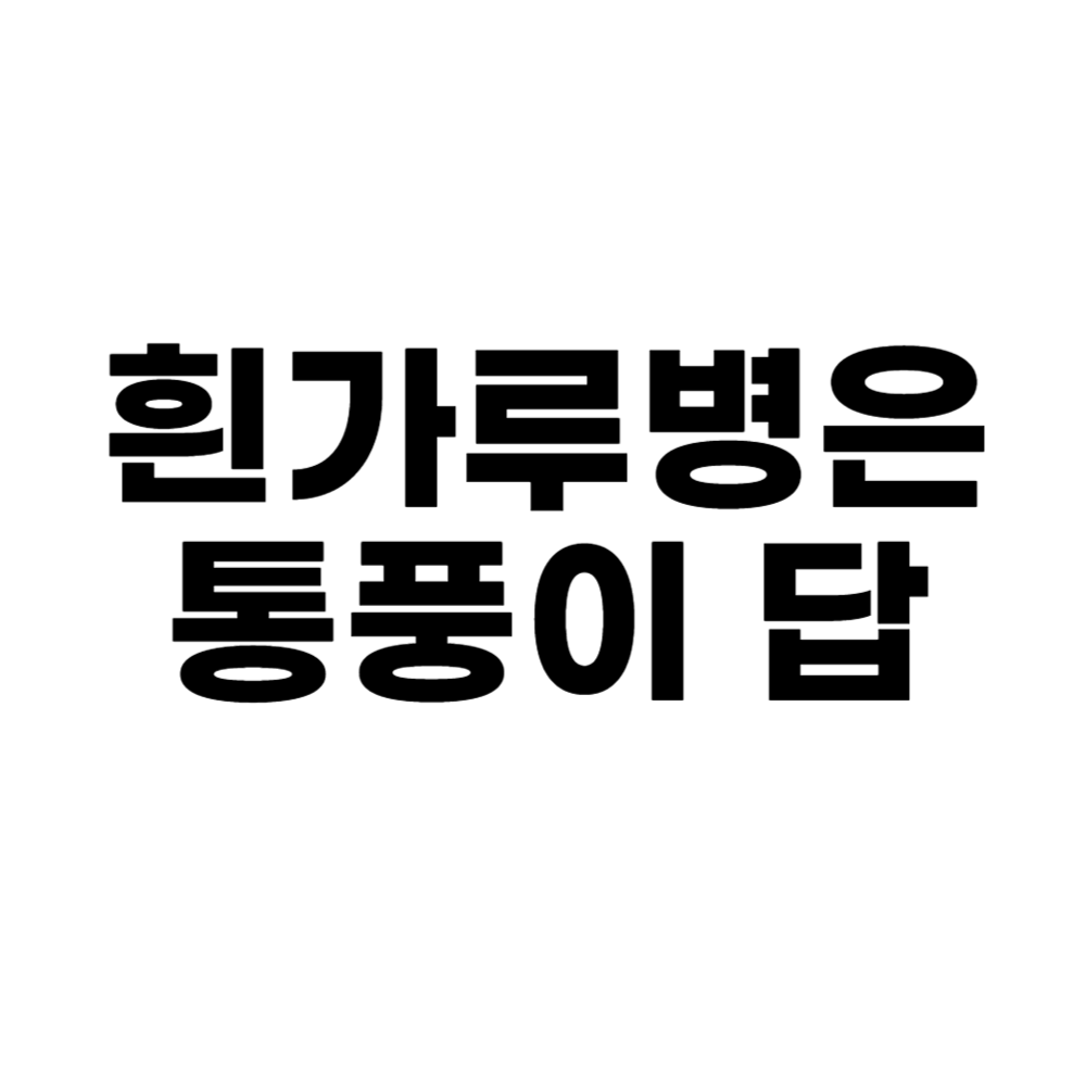 흰가루병은 통풍이 답