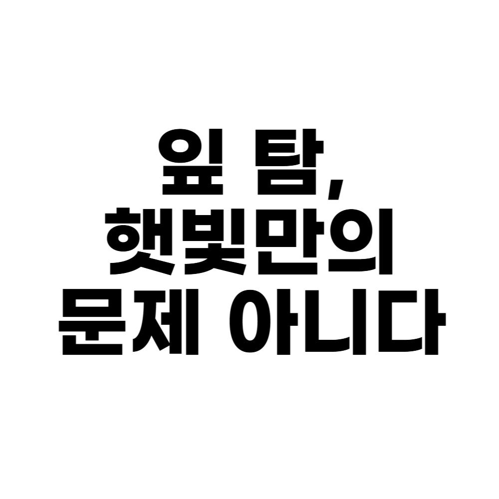 잎 탐, 햇빛만의 문제 아니다