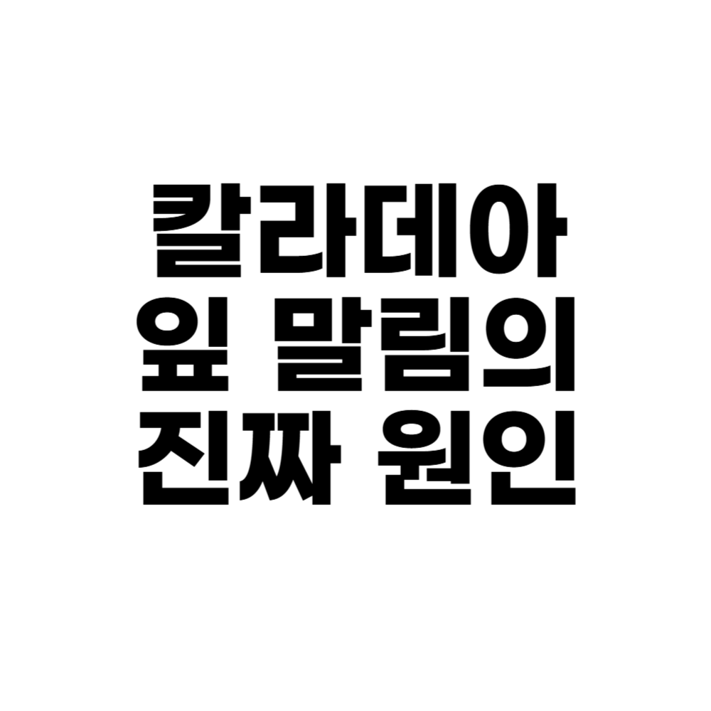 칼라데아 잎 말림의 진짜 원인