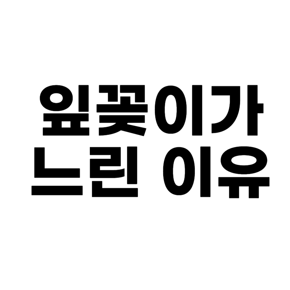 잎꽂이가 느린 이유