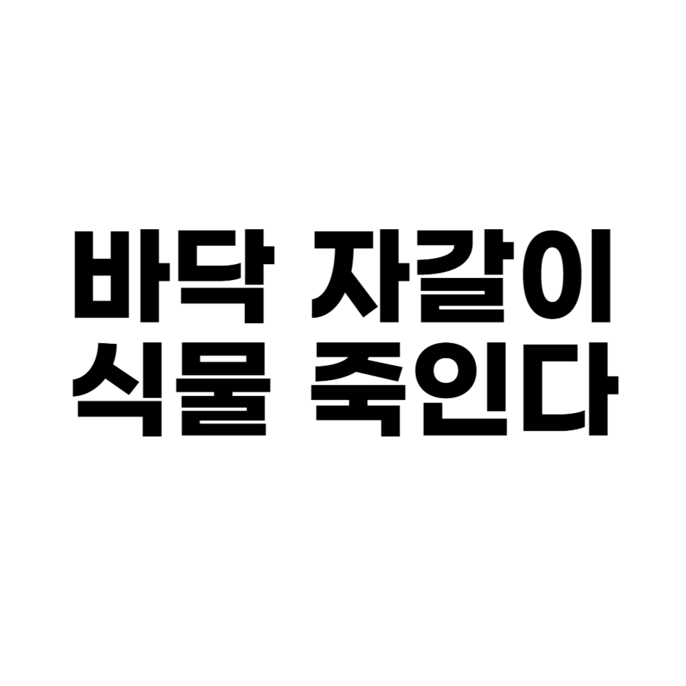 바닥 자갈이 식물 죽인다