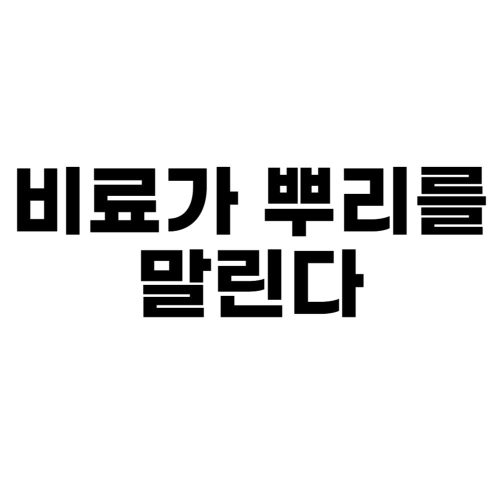 비료가 뿌리를 말린다