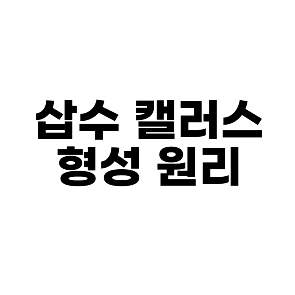 삽수 캘러스 형성